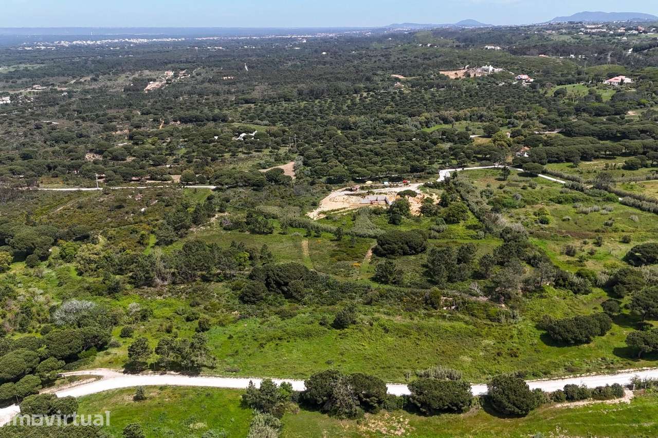 Terreno Rústico com Vista Mar e Viabilidade Construtiva em Azóia, Sesi - Grande imagem: 3/13