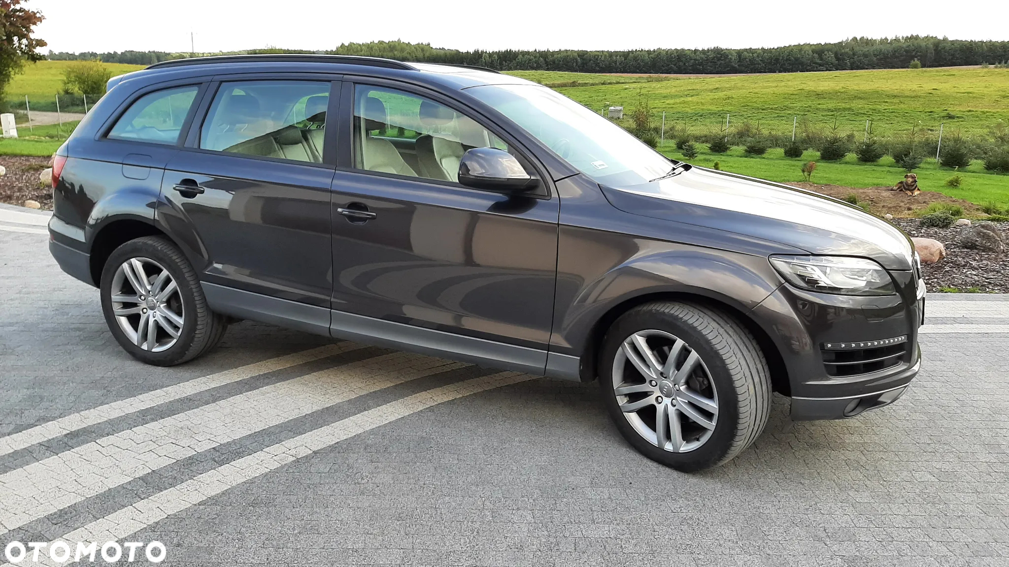 Audi Q7 3.0 TDI DPF Quattro Tiptronic - 2