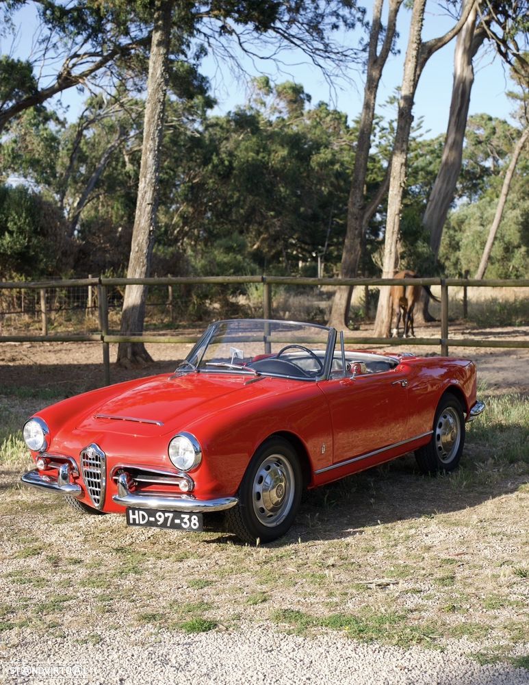 Alfa Romeo Giulia - 1