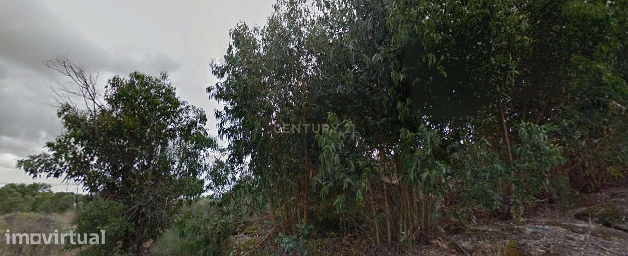 Terreno Rústico na Aldeia de Santa Margarida, Idanha a Nova - Grande imagem: 2/6