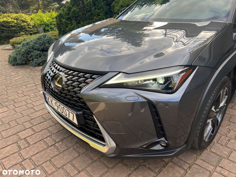 Lexus UX 250h GPF Business 2WD - 4