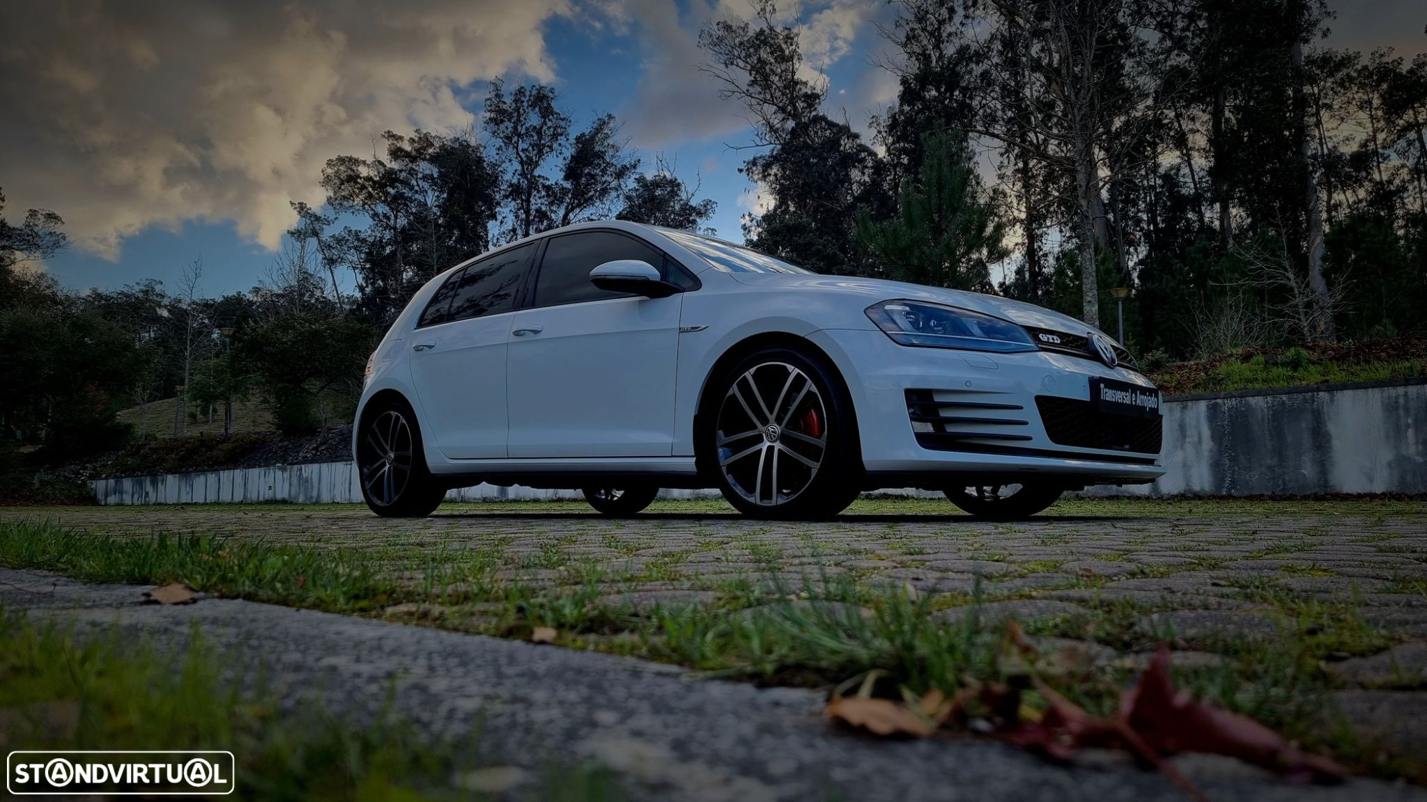 VW Golf GTD (BlueMotion ) DSG - 19