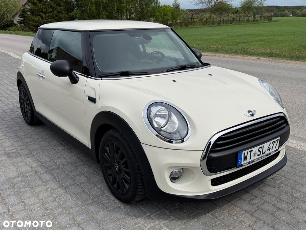 MINI ONE Blackyard - 7