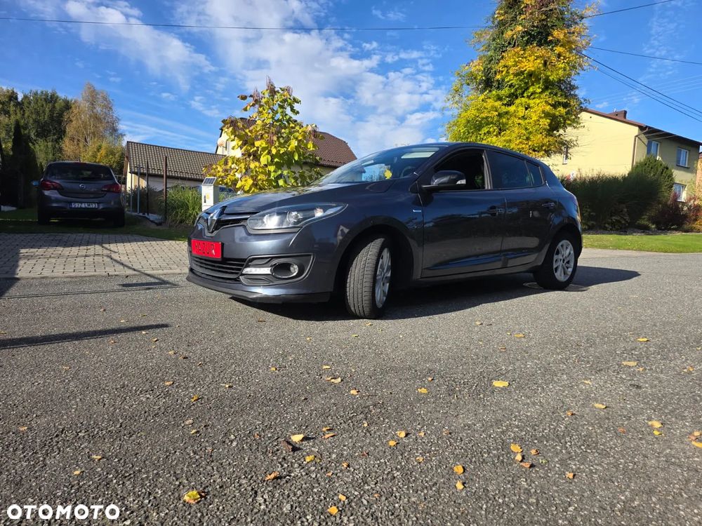 Renault Megane - 33