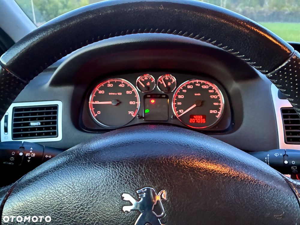 Peugeot 307 2.0 XT - 29