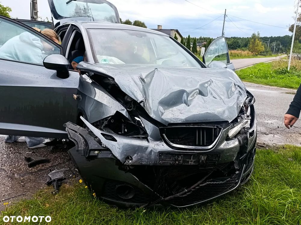 Seat Ibiza - 18