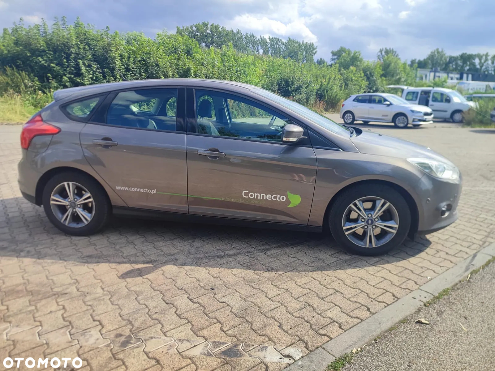 Ford Focus - 16
