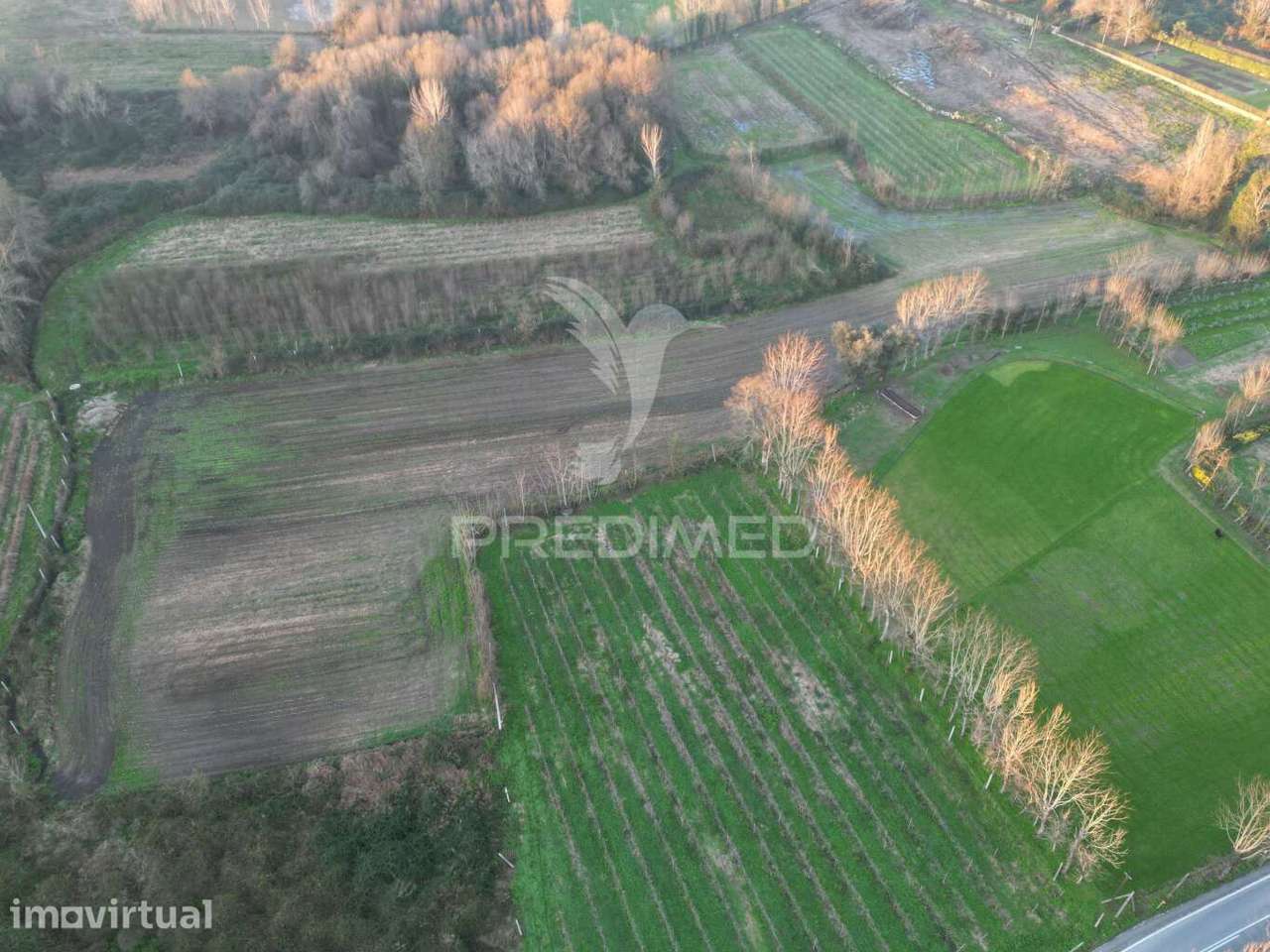 Terreno em Briteiros Santo Estêvão - Guimarães - Grande imagem: 3/10