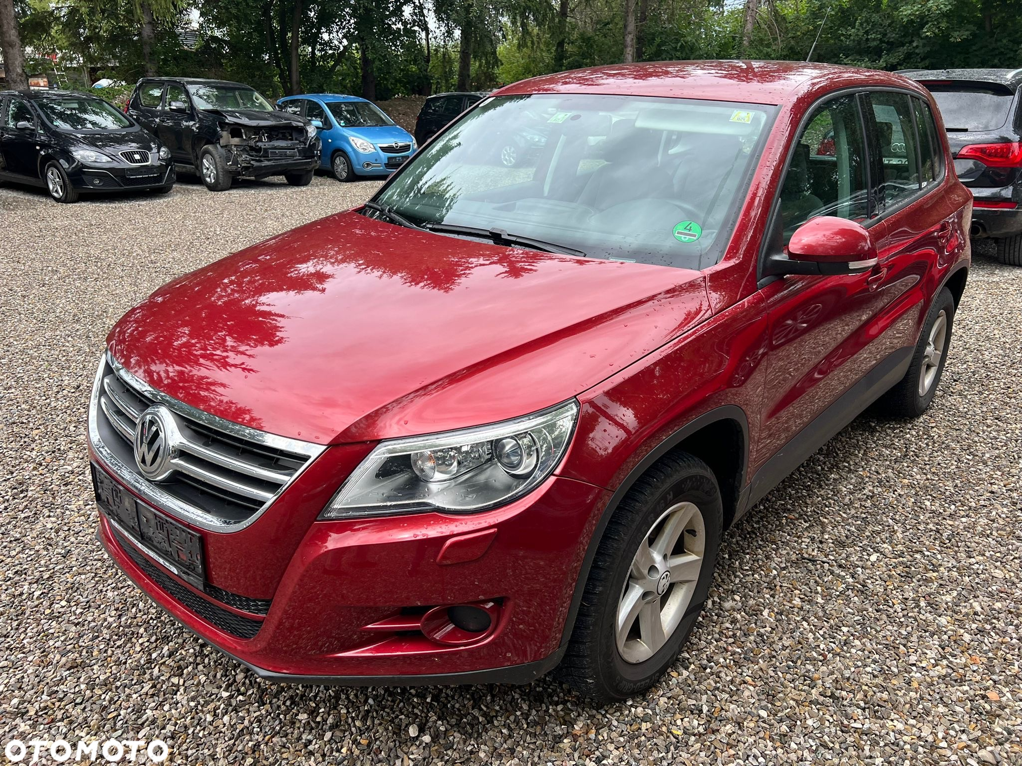 Volkswagen Tiguan 2.0 TDI 4Mot Trend&Fun - 2