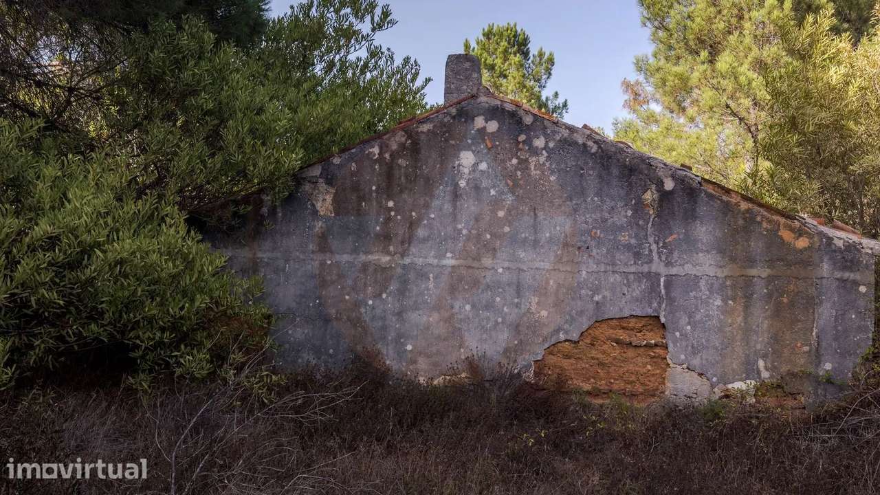23 hectares de natureza pura em Carrascalinho, com 2 ruínas - Grande imagem: 5/39