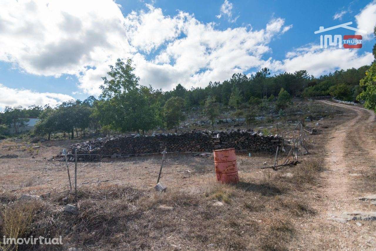 TERRENO RUSTICO COM AREA DE 6760 M2 EM CASAL DURO ALQUEIDÃO DA SERR... - Grande imagem: 5/8