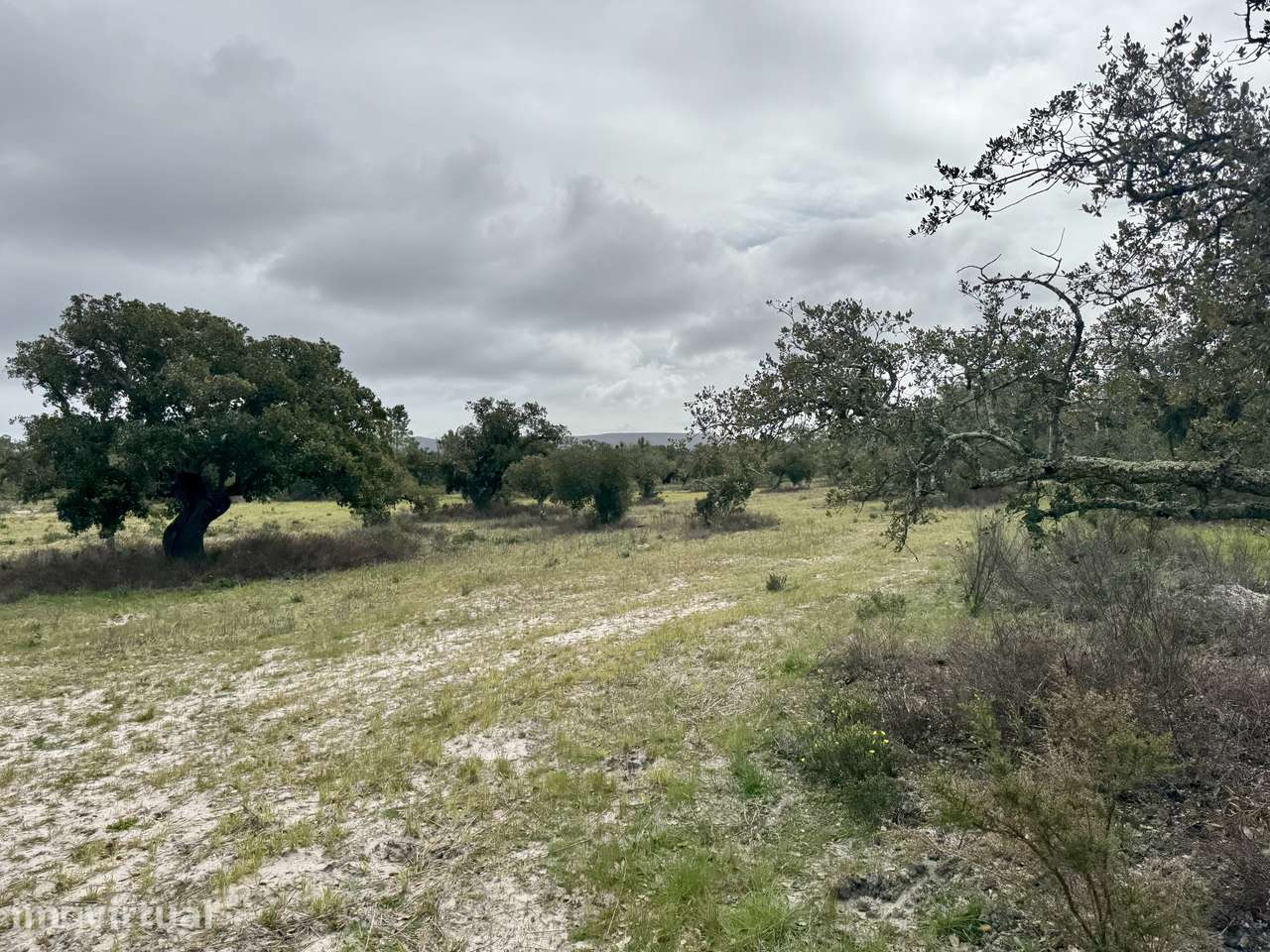 Terreno Rústico de 339.000 m² na Arrábida, junto à Quinta do Peru, com - Grande imagem: 3/4