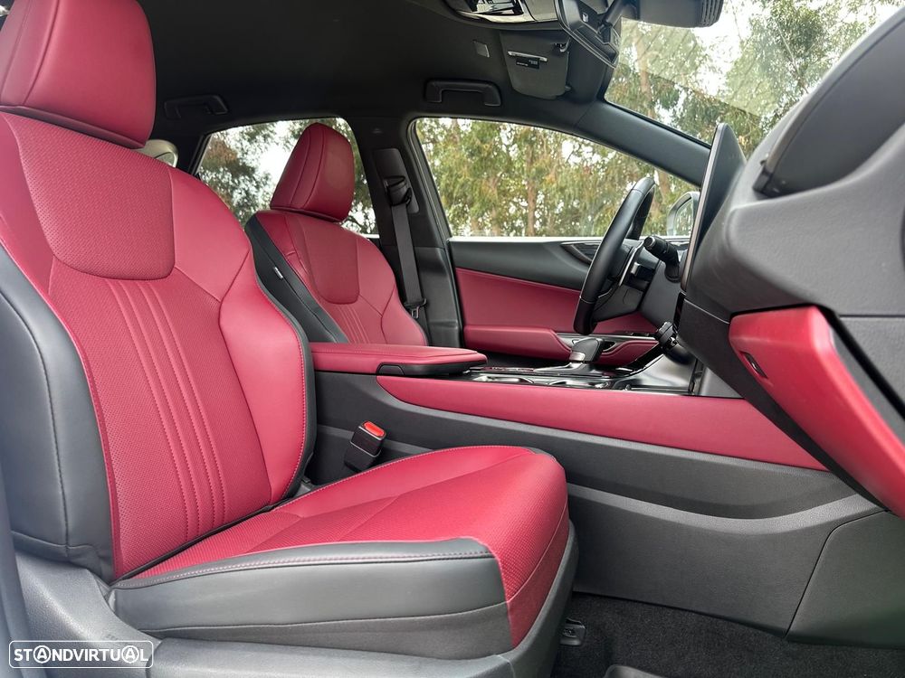 Lexus NX 450h+ Executive - 17
