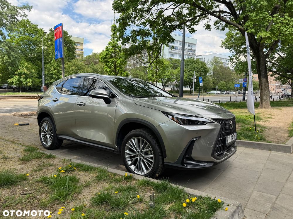 Lexus NX - 12