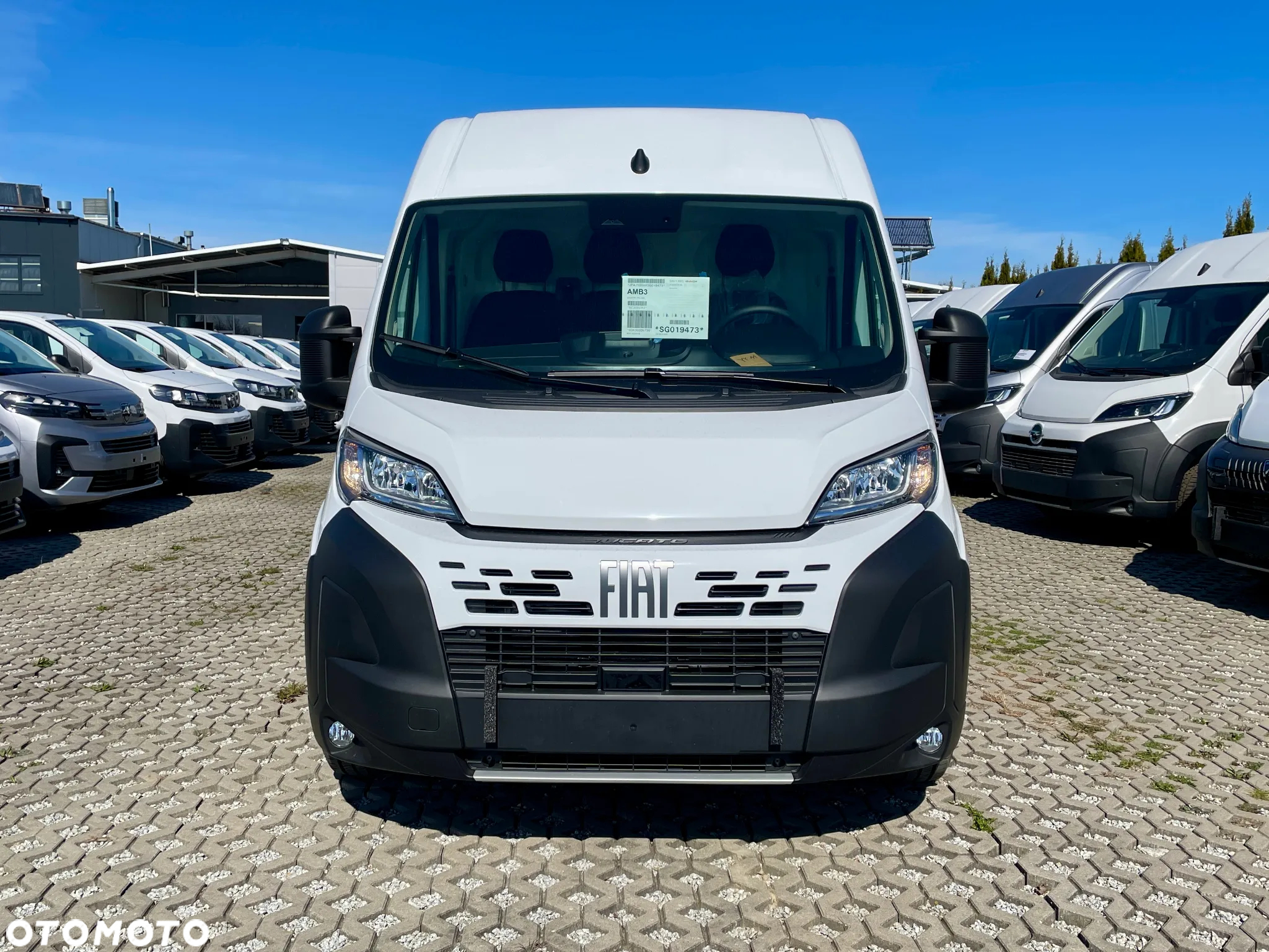Fiat Ducato Maxi - 3