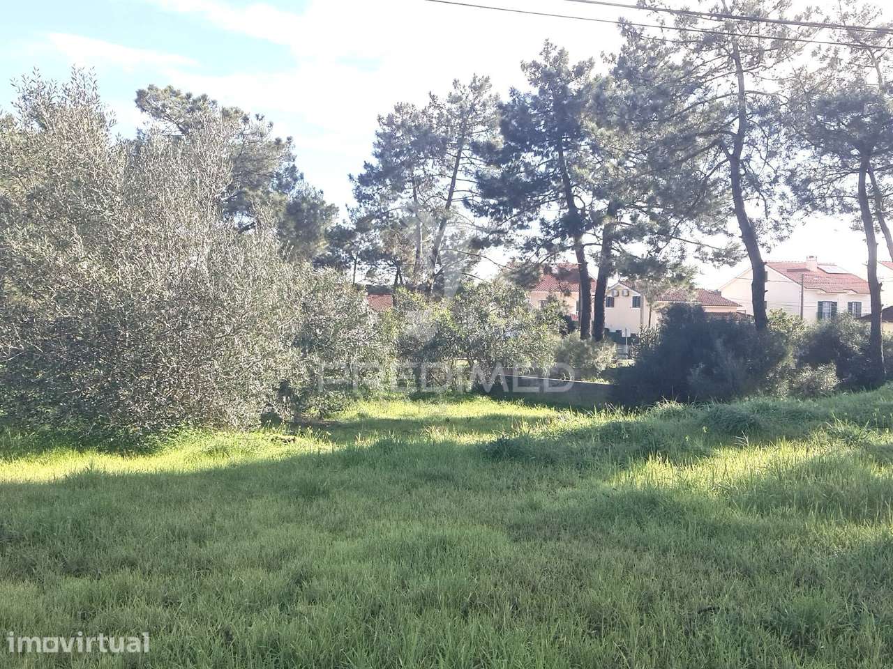 2 Lotes Terrenos Urbanos - Grande imagem: 5/10