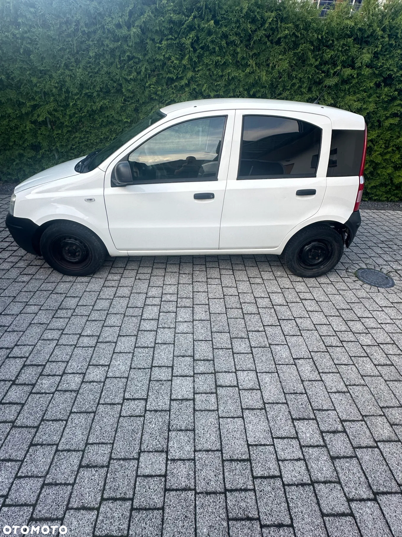 Fiat Panda - 2