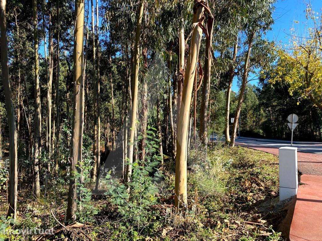 Terreno para construção no Centro de Anadia - Grande imagem: 5/12