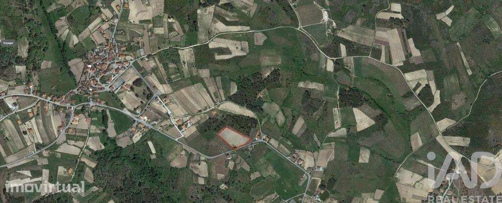 Terreno para construção em Ervededo de 9600,00 m2 - Grande imagem: 3/10