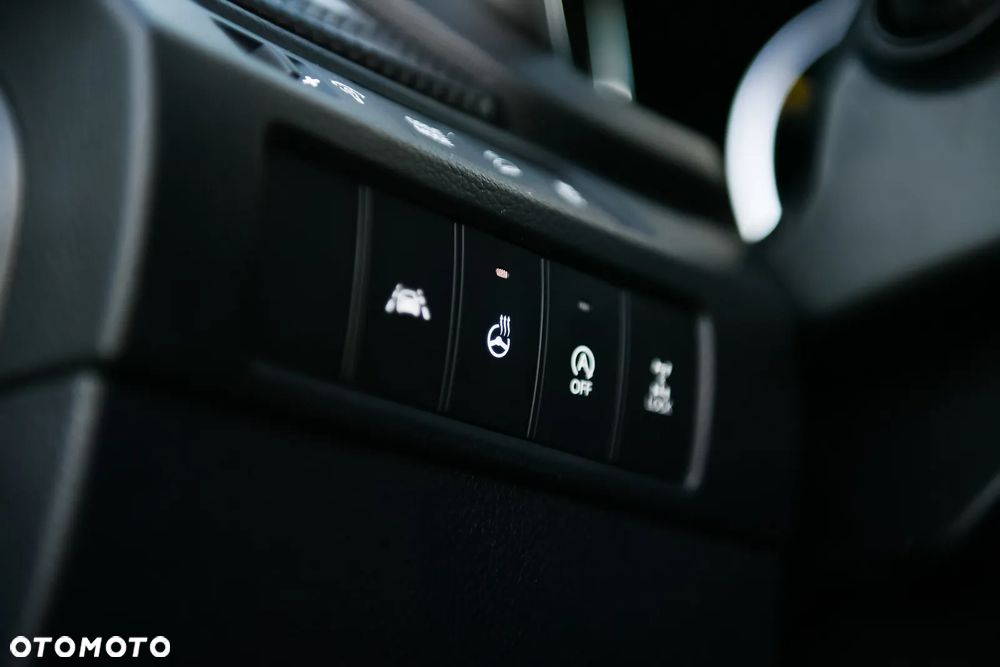 Hyundai Santa Fe 2.0 CRDi Platinum 4WD - 28