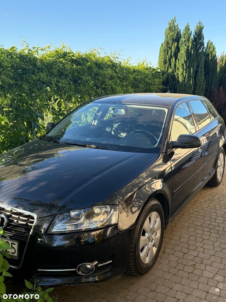 Audi A3 Sportback 1.6 TDI Ambition - 1