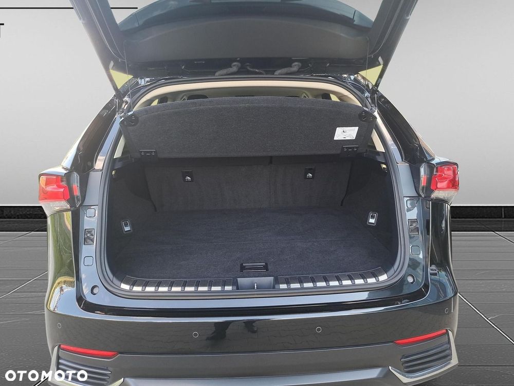 Lexus NX 300h Business Edition AWD - 20
