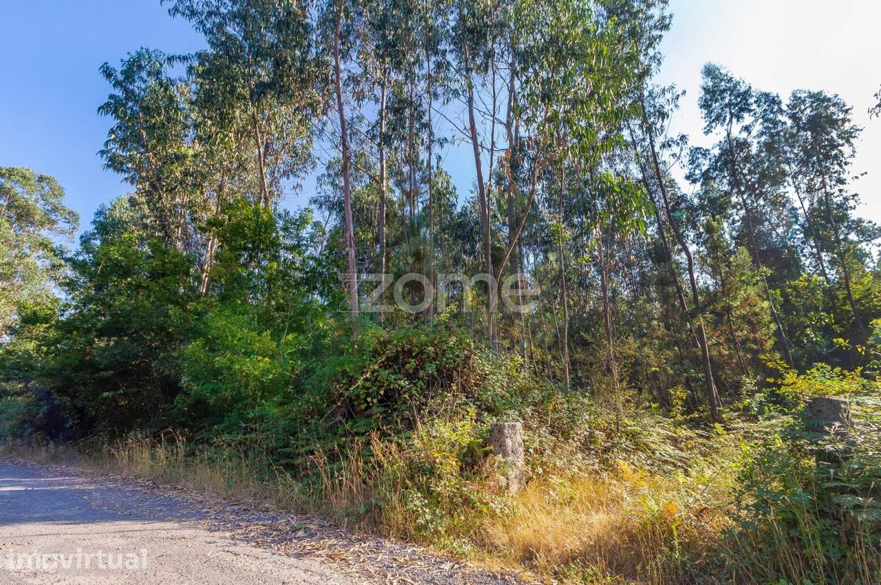 Terreno Rústico com 13.470 m2 em Monte Córdova - Santo Tirso - Grande imagem: 3/6