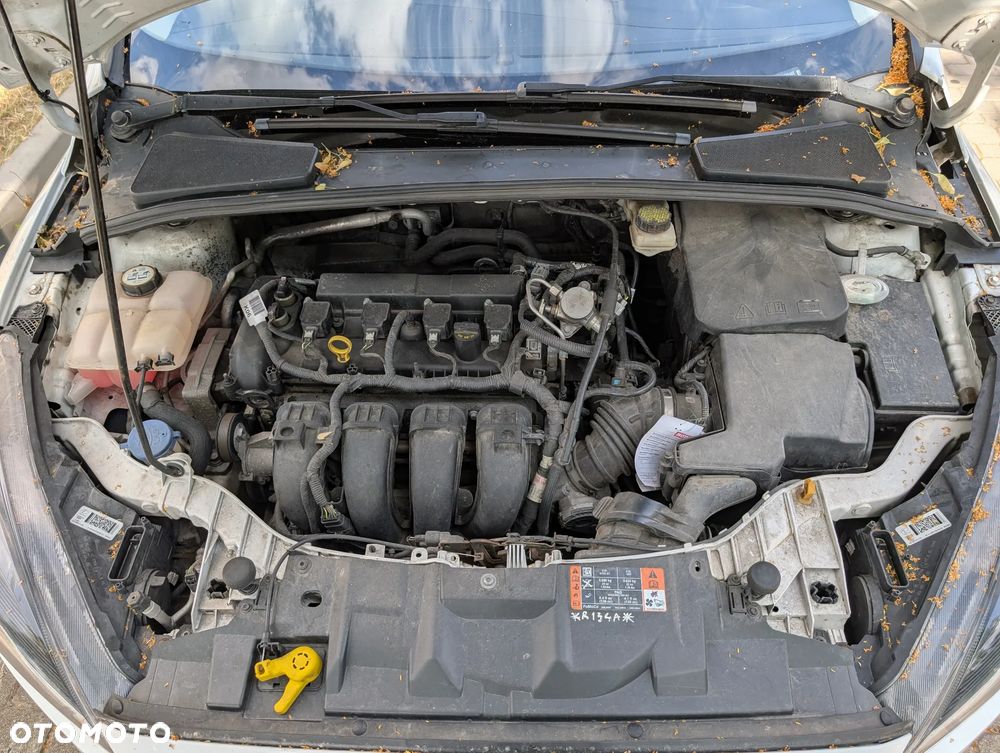 Ford Focus - 22