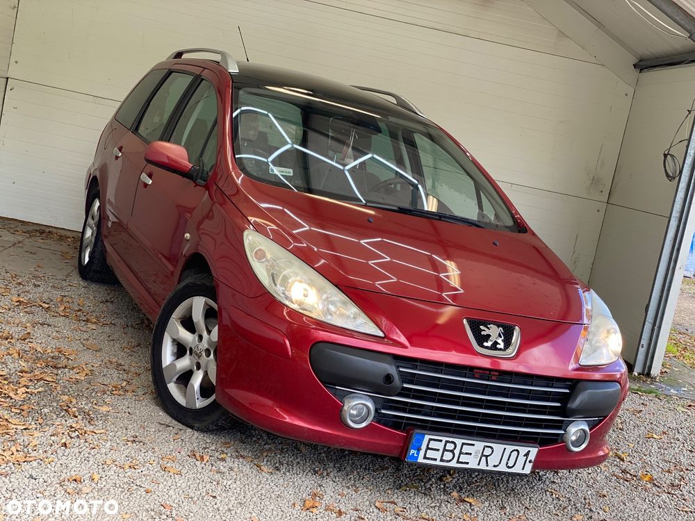 Peugeot 307 1.6 D-sign - 18
