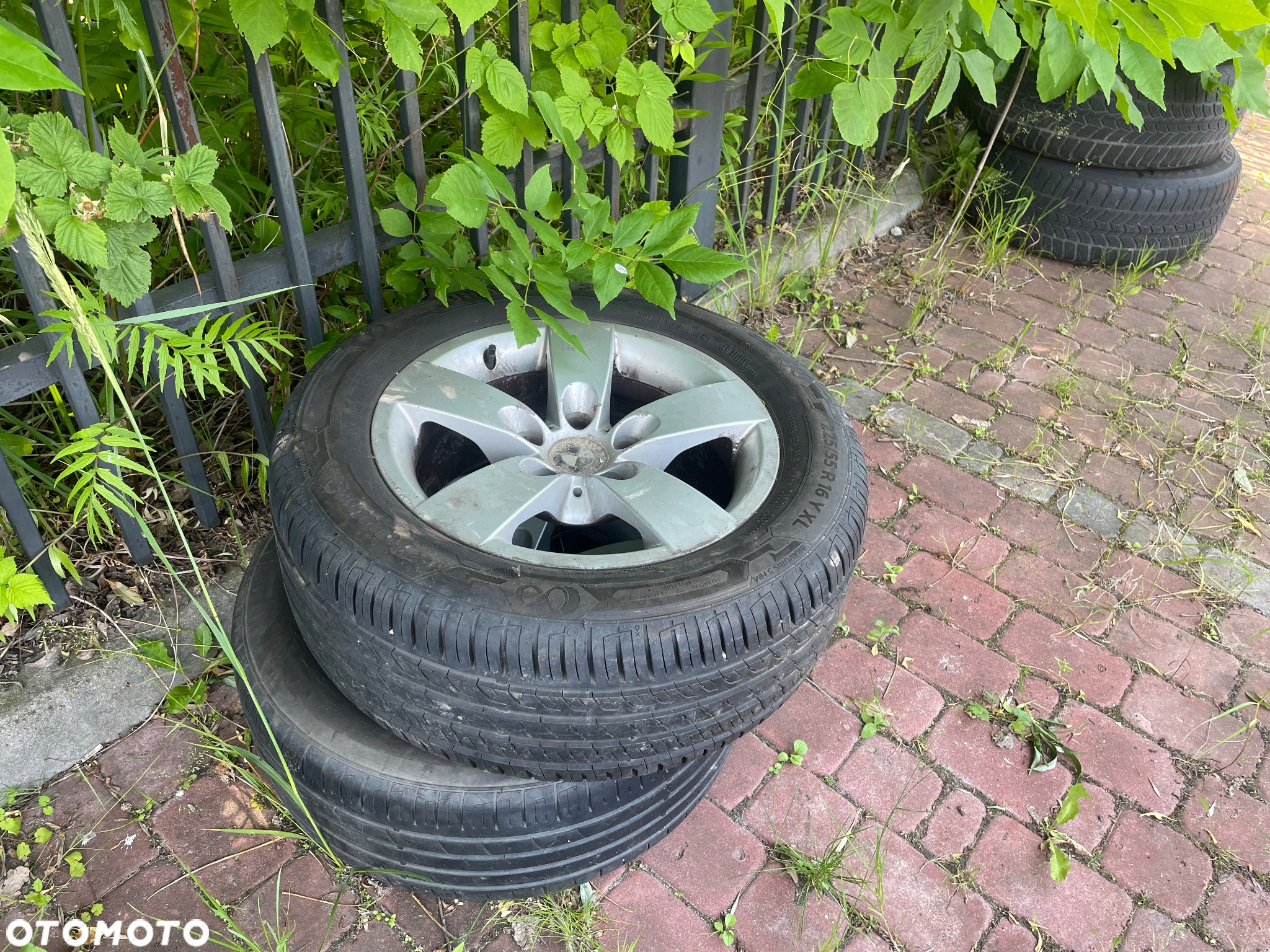 BMW Seria 5 - 25