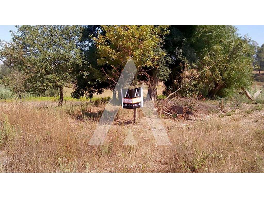 Terreno para construção de moradia uni-familiar em Oiã - Grande imagem: 3/10