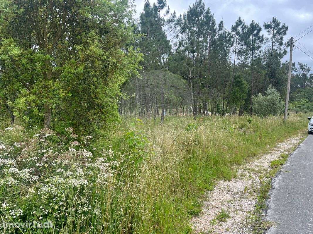 Terreno  para venda - Grande imagem: 4/4