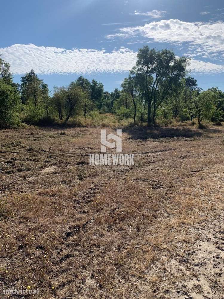 Lote de Terreno urbano – Palmela - Grande imagem: 4/9