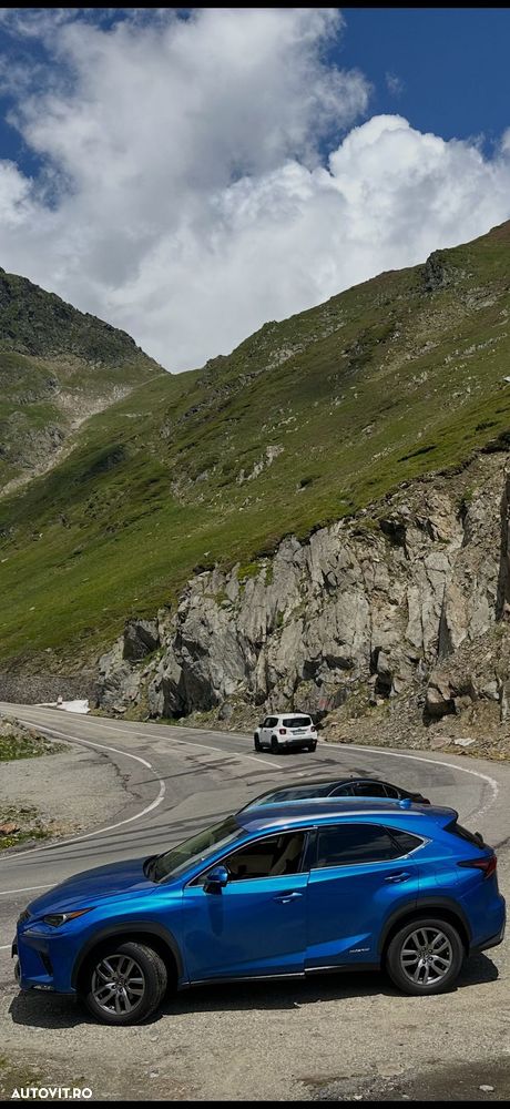 Lexus Seria NX 300h AWD Executive Plus - 13