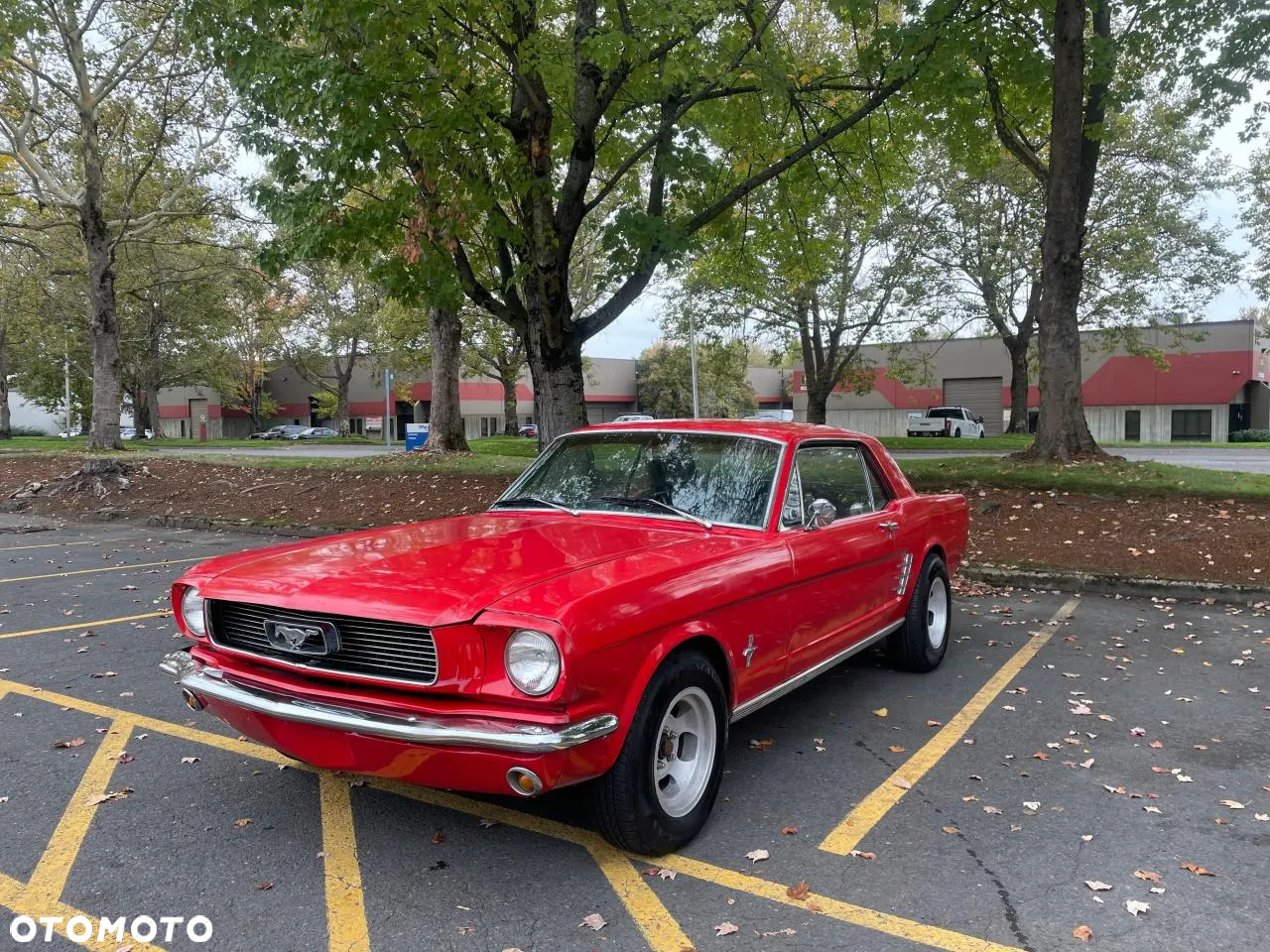 Ford Mustang - 17