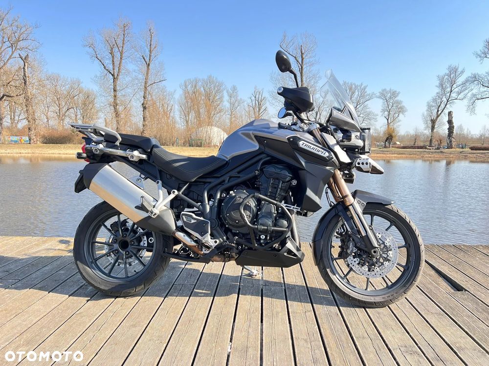 Triumph Tiger - 19