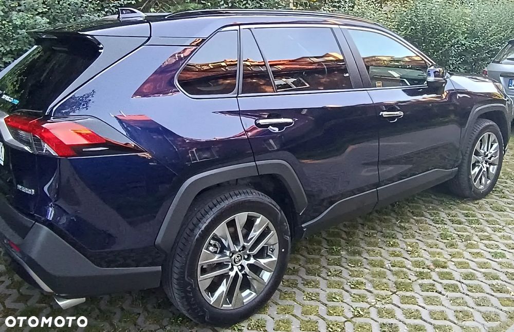 Toyota RAV4 2.5 Hybrid Executive 4x2 - 9