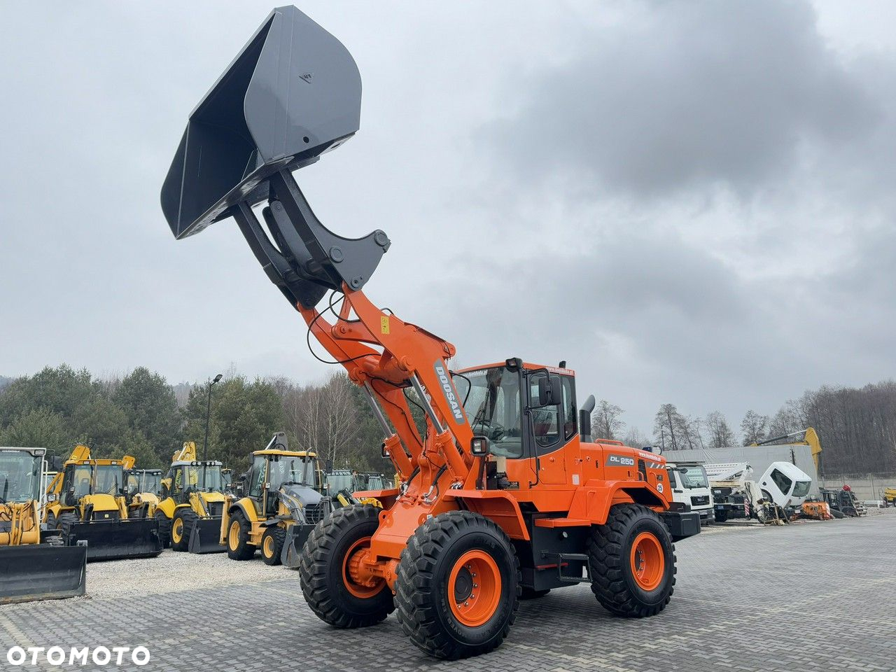 Doosan DL250  14,5Ton Łyżka Wysokiego Wysypu !!! - 9