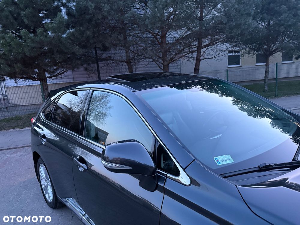 Lexus RX 450h (hybrid) Luxury Line - 7