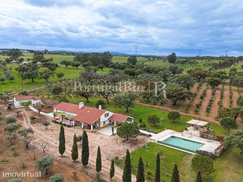 Propriedade de Luxo com Vinha e Potencial de Turismo em Estremoz, n... - Grande imagem: 4/60