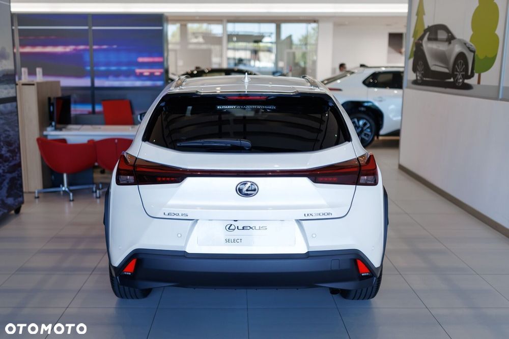 Lexus UX 300h Business - 5