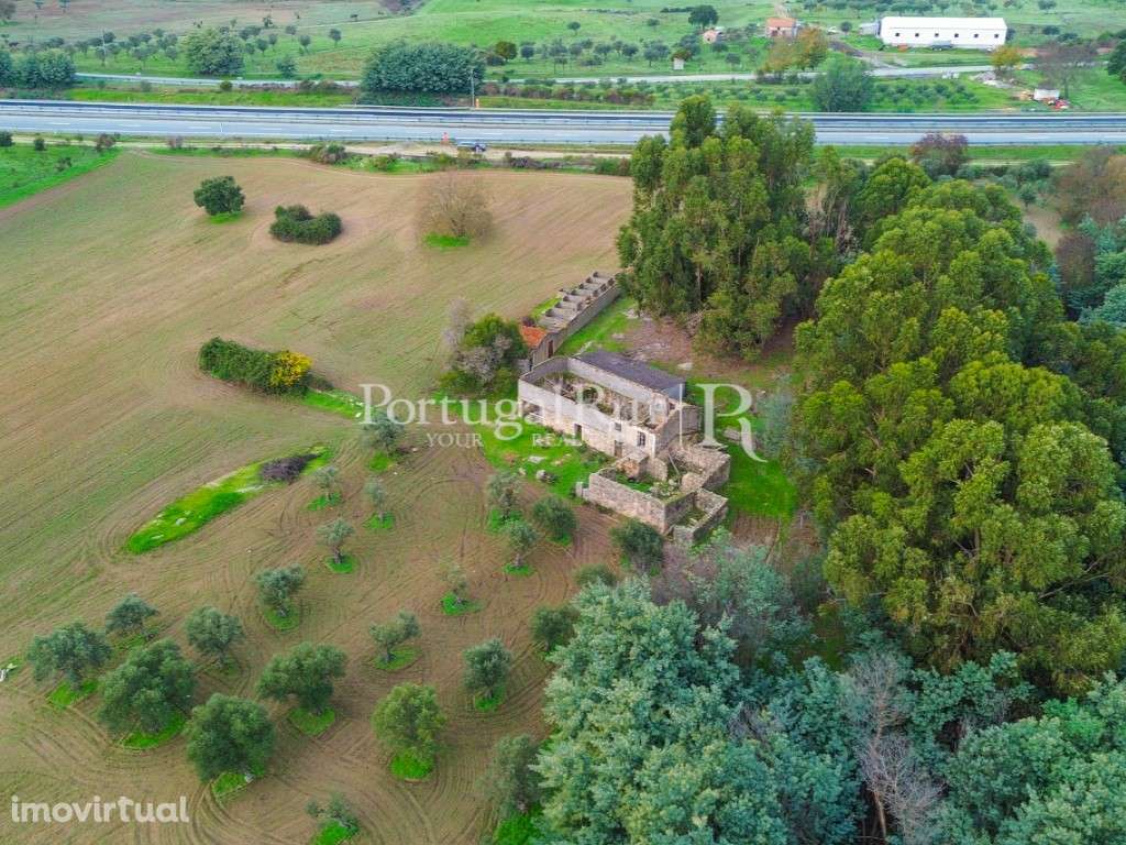 Quinta com 5 hectares e ruína - Grande imagem: 2/20