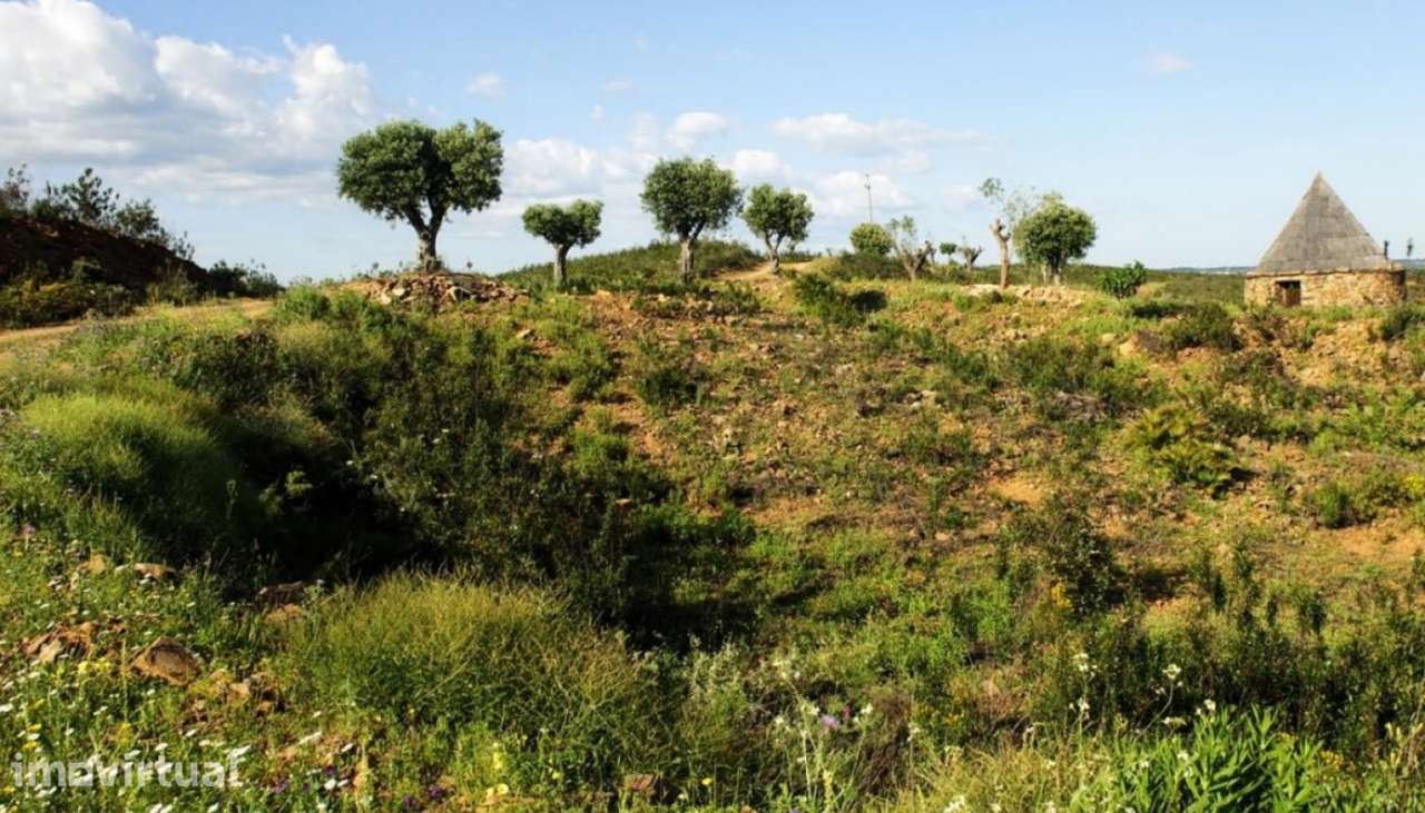 Amplo terreno, com projeto aprovado, para venda em Tavira, Algarve - Grande imagem: 3/5