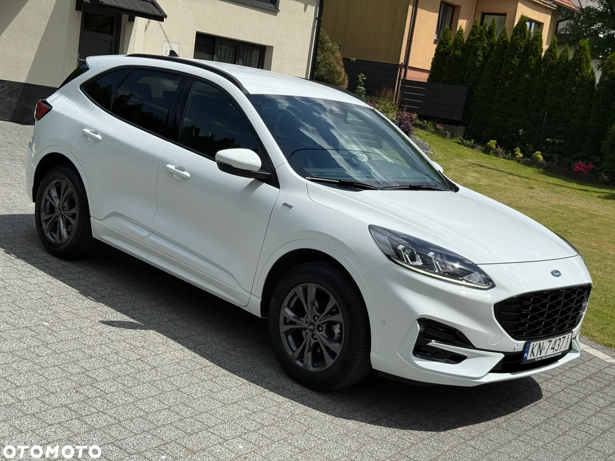 Ford Kuga 2.5 FHEV AWD ST-Line - 19