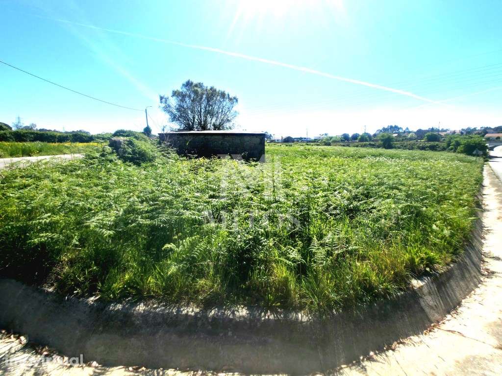 Terreno de cultivo para venda em Vila Fria - Viana do Castelo - Grande imagem: 3/7