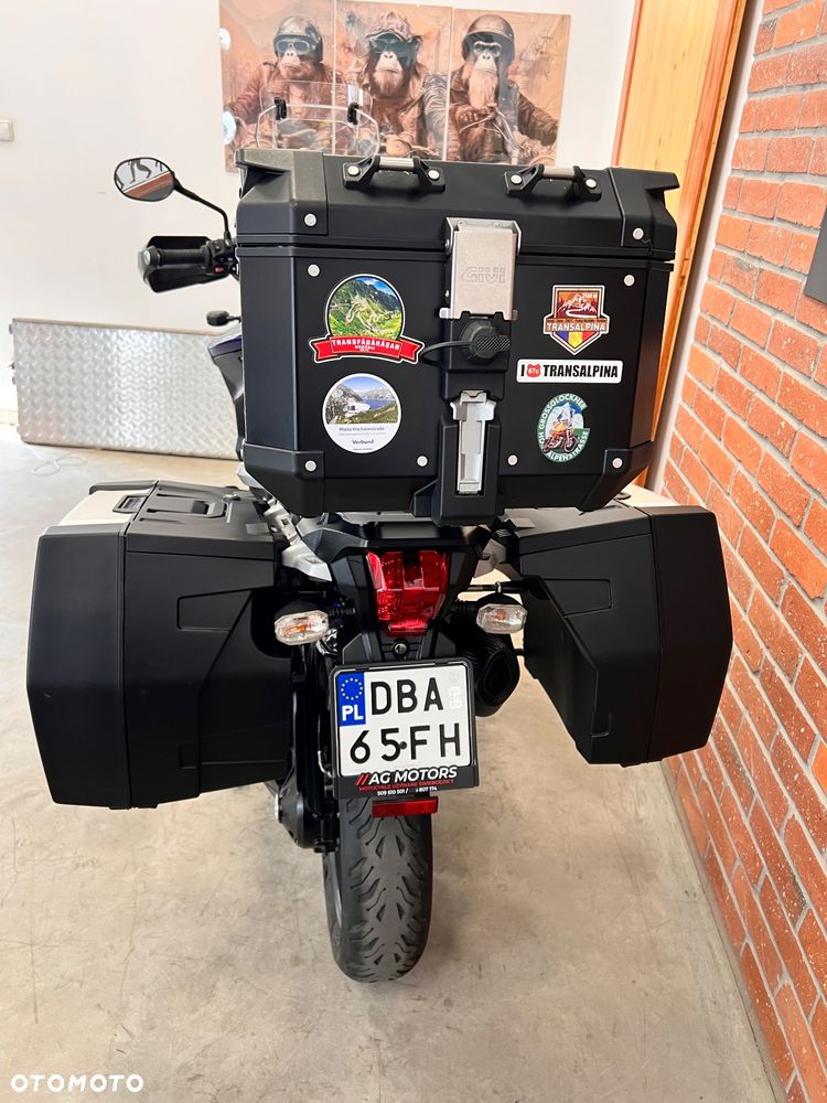 Triumph Tiger - 20