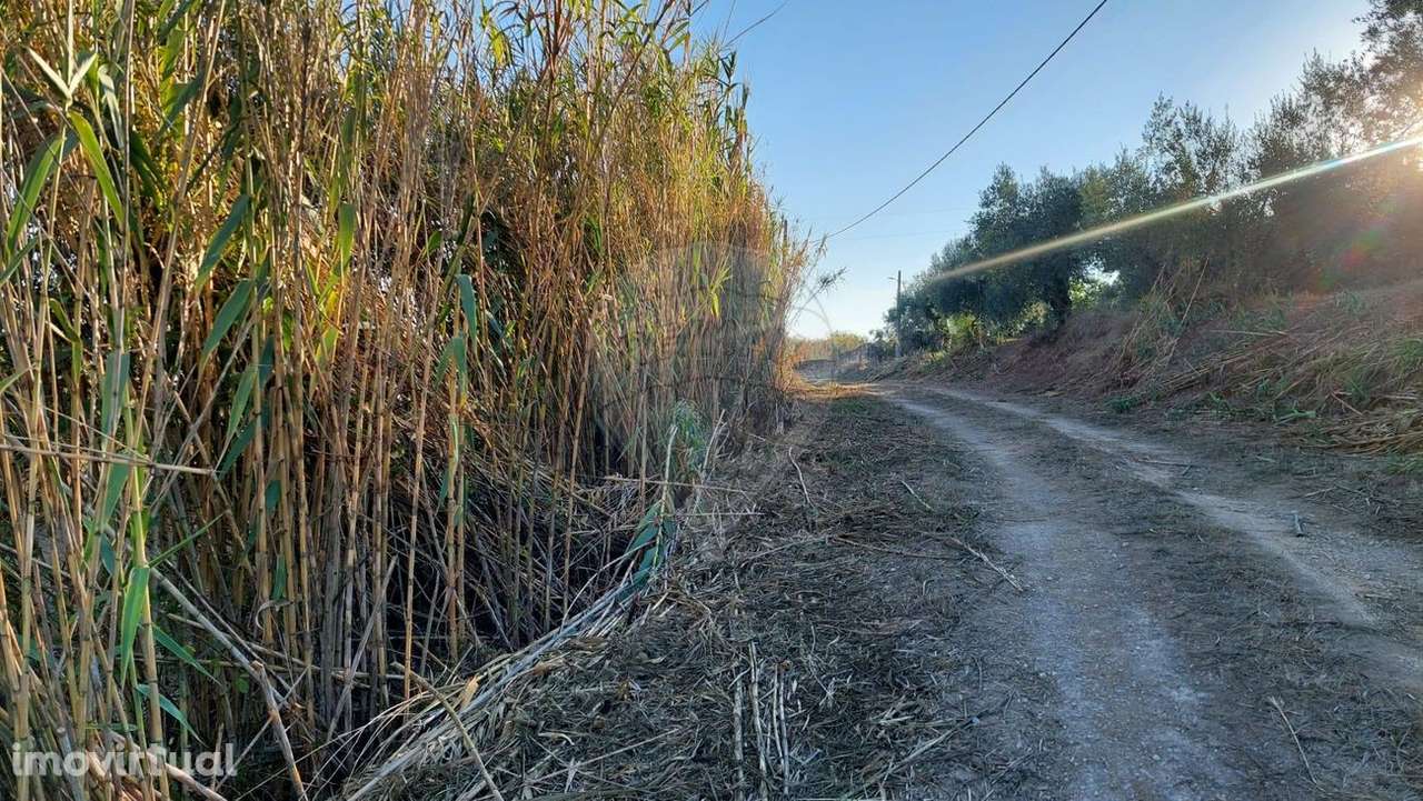 Terreno  para venda - Grande imagem: 3/17