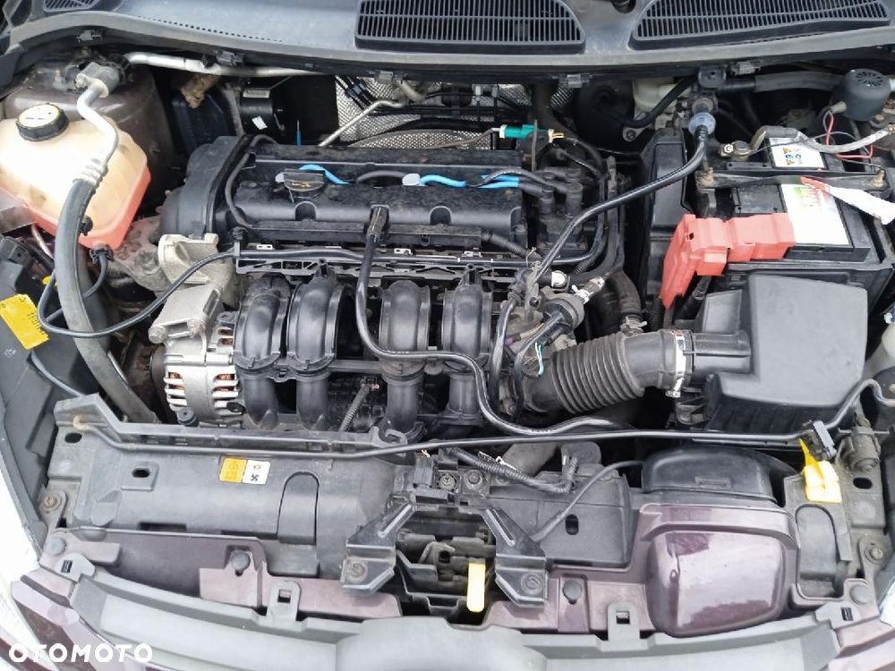 Ford Fiesta - 5