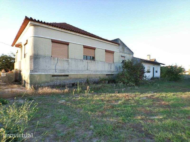 Moradia T4 com terreno Cantanhede - Grande imagem: 5/12