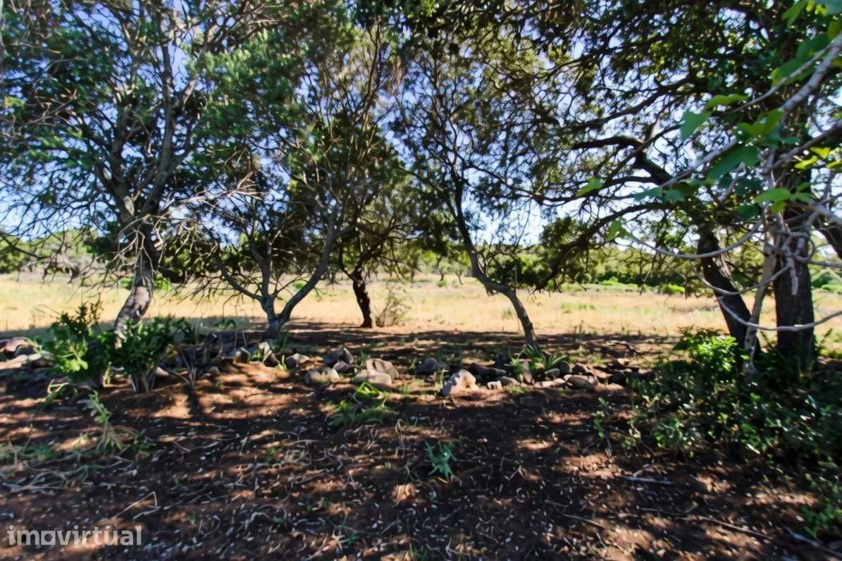 Dois terrenos rústicos planos, vendidos em conjunto, com 7120 m2 - Grande imagem: 2/10